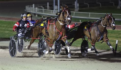 harness racing new zealand results